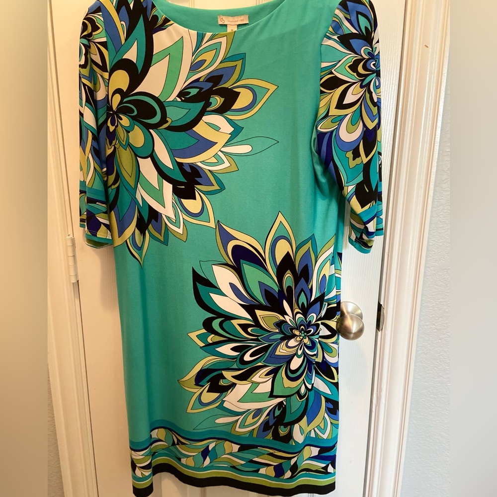 Dress barn Woman’s shift dress size 16 (runs small)